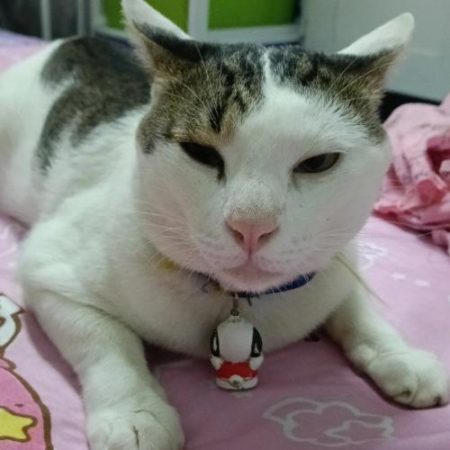 สมาชิกหมายเลข 8958169