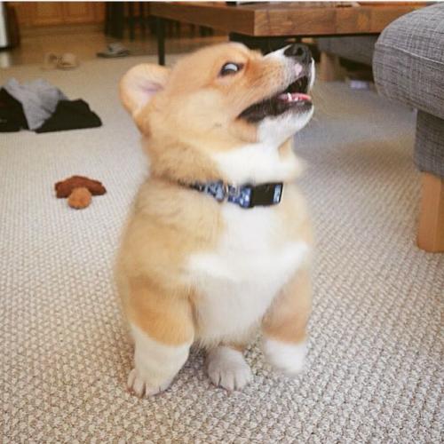 สมาชิกหมายเลข 2668367