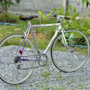 ป่าเหนือ