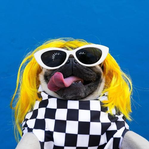 สมาชิกหมายเลข 4610505