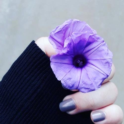 สมาชิกหมายเลข 3824085