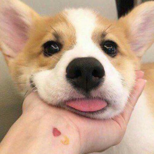 สมาชิกหมายเลข 5359498