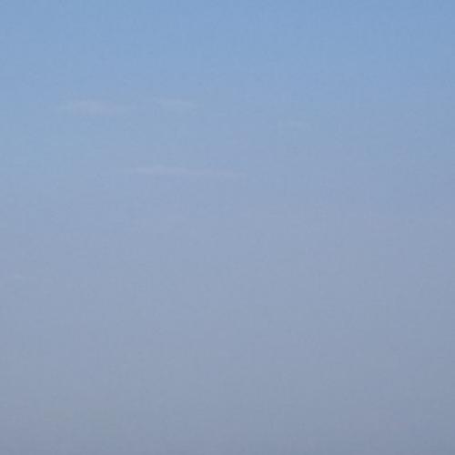 เหมี่ยวบ้านอำเภอ