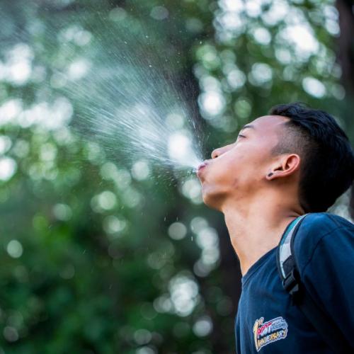 สมาชิกหมายเลข 5761772