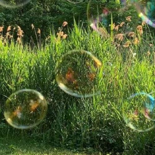 สมาชิกหมายเลข 6038561