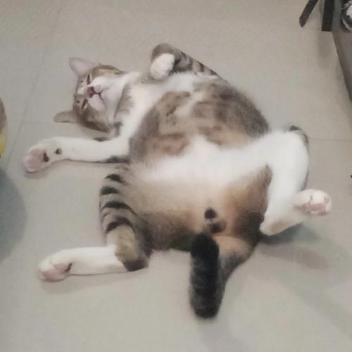 สมาชิกหมายเลข 7920158