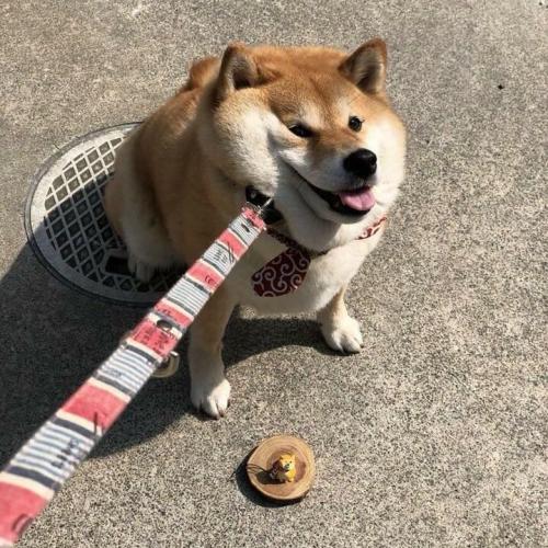 สมาชิกหมายเลข 2268733