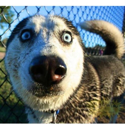 สมาชิกหมายเลข 2725556