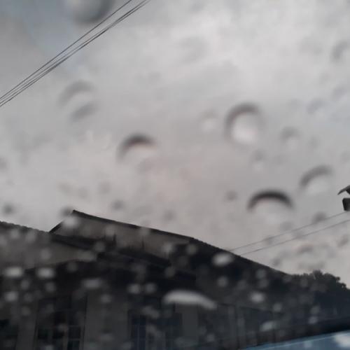 สมาชิกหมายเลข 4610930