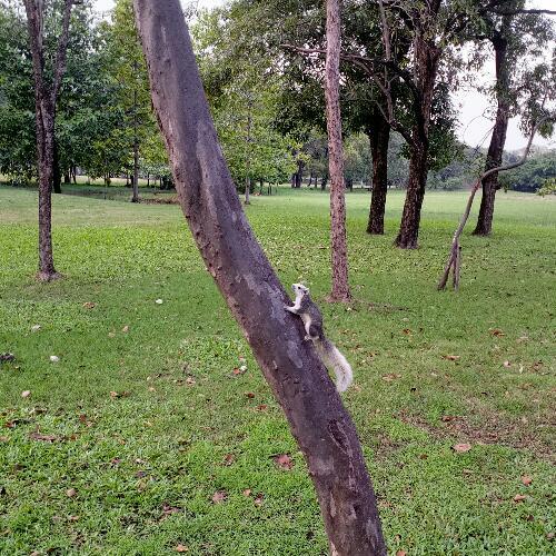 สมาชิกหมายเลข 4963601