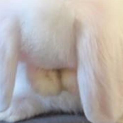 สมาชิกหมายเลข 3675750