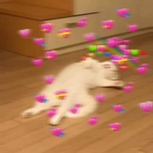 สมาชิกหมายเลข 5816269