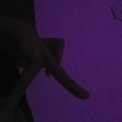 สมาชิกหมายเลข 5844135