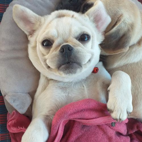 สมาชิกหมายเลข 5844214