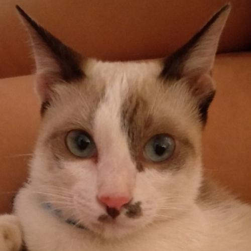 สมาชิกหมายเลข 5844562