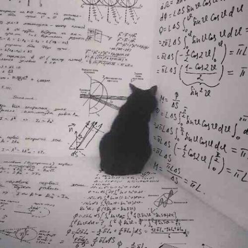 สมาชิกหมายเลข 6125437