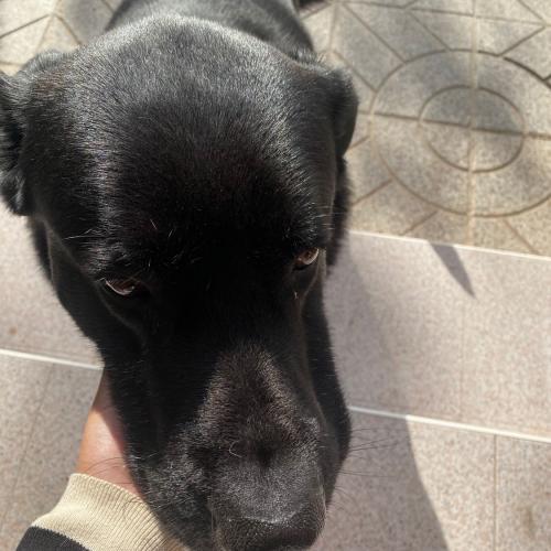 สมาชิกหมายเลข 7469084