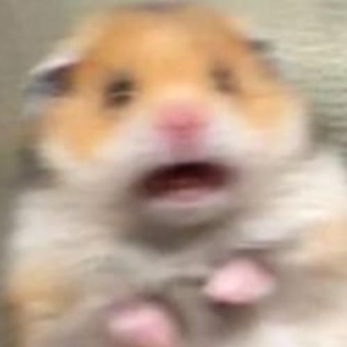 สมาชิกหมายเลข 5733733