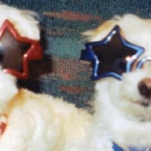 สมาชิกหมายเลข 8412552