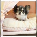 สมาชิกหมายเลข 4189448