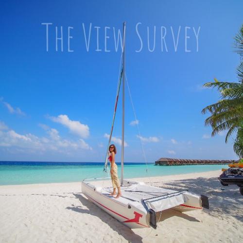 The View Survey