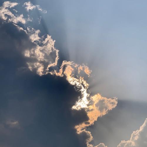 สมาชิกหมายเลข 4368648