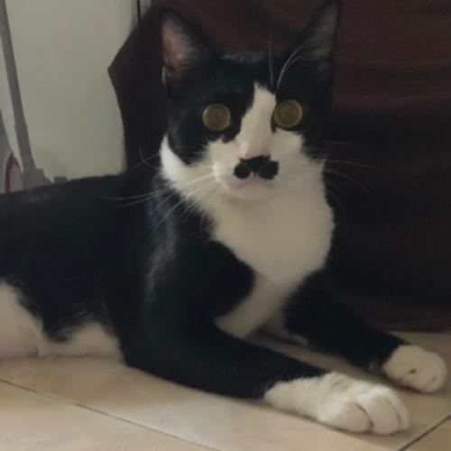 สมาชิกหมายเลข 774247