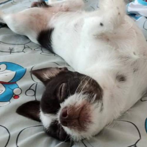 สมาชิกหมายเลข 1621649