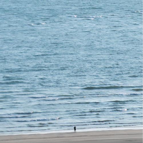 สมาชิกหมายเลข 2213758