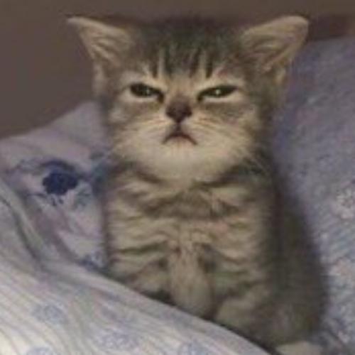 สมาชิกหมายเลข 6444835