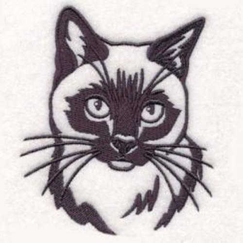 สมาชิกหมายเลข 6446375