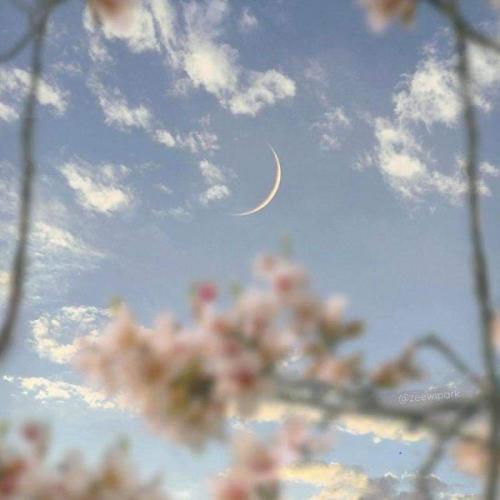 สมาชิกหมายเลข 6446951