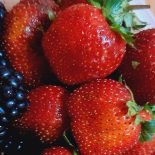 สมาชิกหมายเลข 6765958