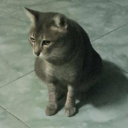 สมาชิกหมายเลข 7937355