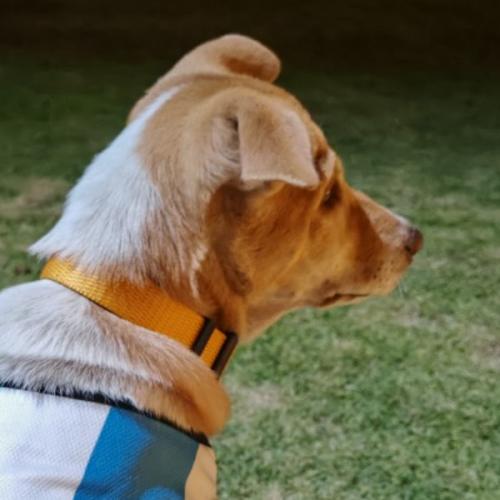 สมาชิกหมายเลข 1653116