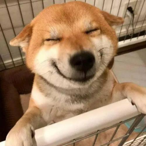 สมาชิกหมายเลข 8572283