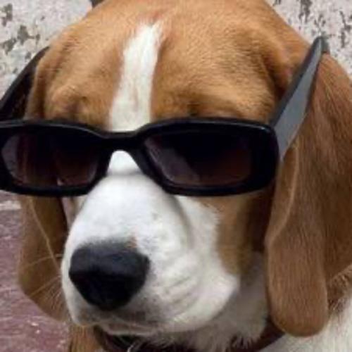 สมาชิกหมายเลข 8961413