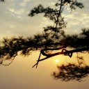 สมาชิกหมายเลข 2764413