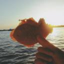 สมาชิกหมายเลข 4215524