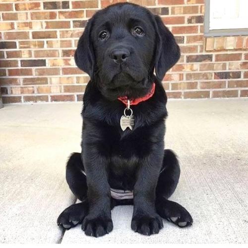 สมาชิกหมายเลข 3432855