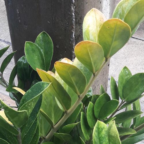 สมาชิกหมายเลข 3706168