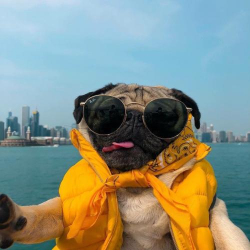 สมาชิกหมายเลข 4964283