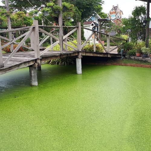 สมาชิกหมายเลข 3494087