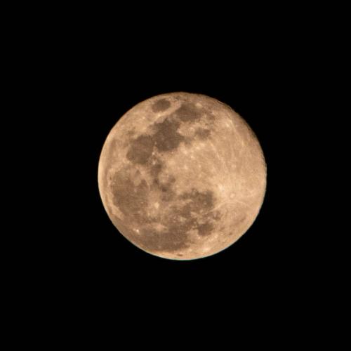 สมาชิกหมายเลข 4727555