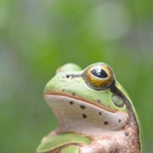 สมาชิกหมายเลข 5845574