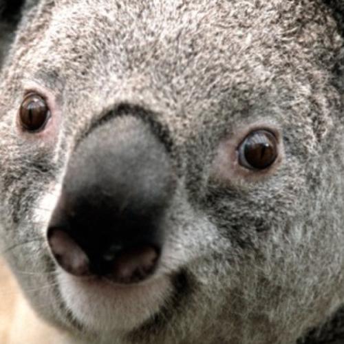 สมาชิกหมายเลข 5845884