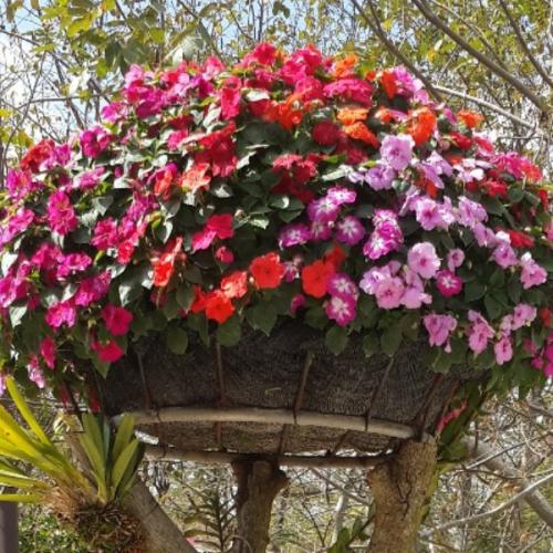 สมาชิกหมายเลข 5227212