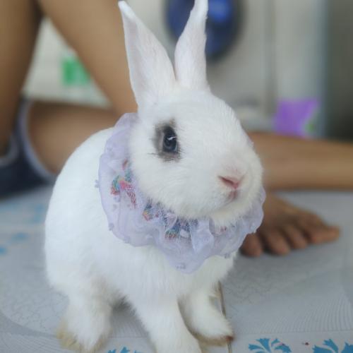 สมาชิกหมายเลข 6447827