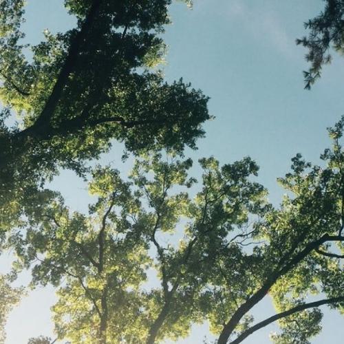 สมาชิกหมายเลข 7550576