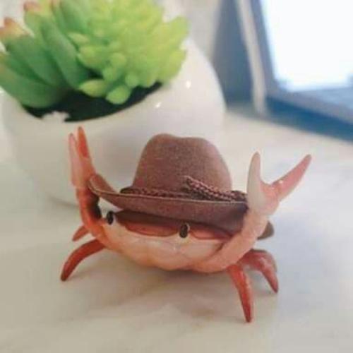 สมาชิกหมายเลข 7935091